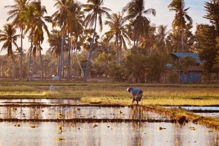 Bali všemi smysly a relax jako z pohádky - 30