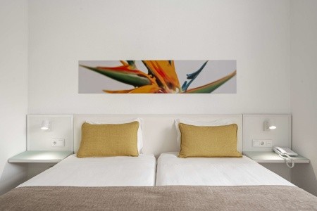 Dorisol Estrelicia - 101