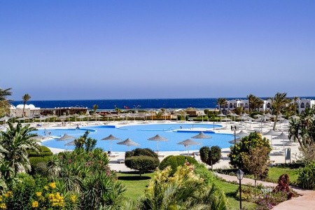 Gorgonia Beach Resort - 8