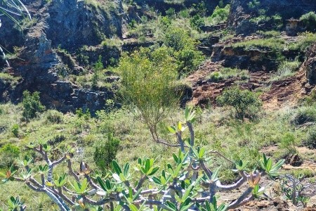 Madagaskar - to nej z jižní a západní části ostrova - 19