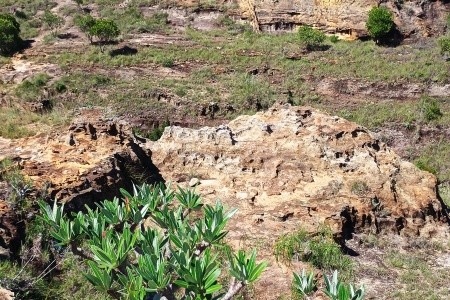 Madagaskar - to nej z jižní a západní části ostrova - 20