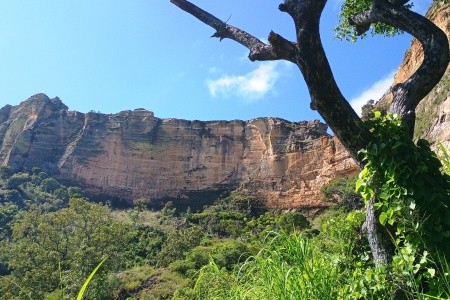 Madagaskar - to nej z jižní a západní části ostrova - 24