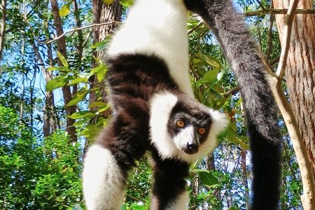 Madagaskar - to nej z jižní a západní části ostrova - 26