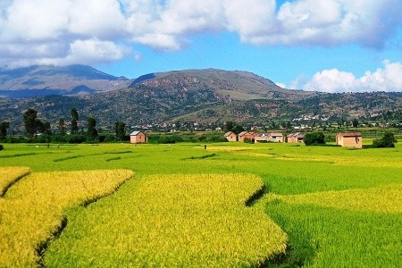 Madagaskar - to nej z jižní a západní části ostrova - 31