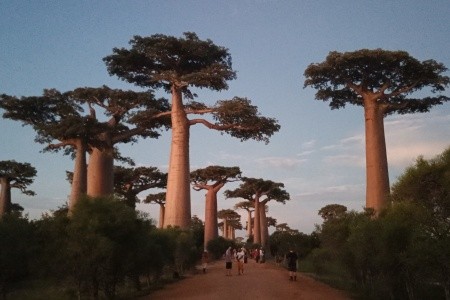 Madagaskar - to nej z jižní a západní části ostrova - 34