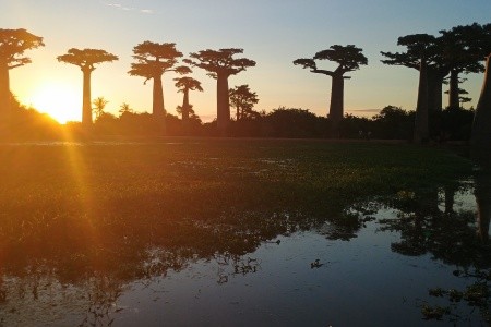 Madagaskar - to nej z jižní a západní části ostrova - 35