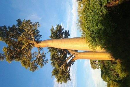 Madagaskar - to nej z jižní a západní části ostrova - 36