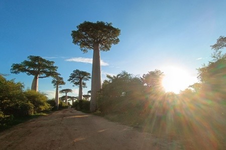 Madagaskar - to nej z jižní a západní části ostrova - 37