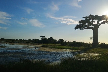 Madagaskar - to nej z jižní a západní části ostrova - 38