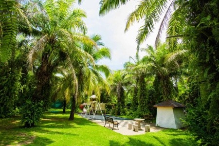 Palm Beach Resort & Spa - 73