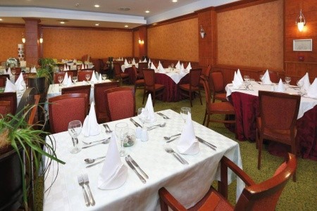 Ensana Thermal Margaret Island (Ex. Danubius Health Spa Resort Margitsziget) - 10