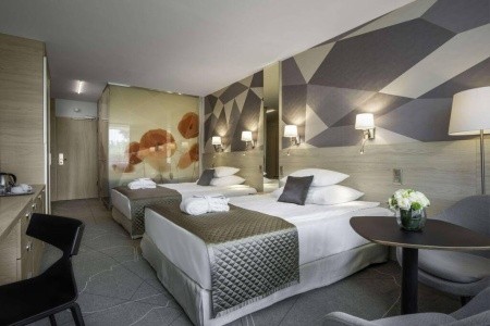 Ensana Thermal Margaret Island (Ex. Danubius Health Spa Resort Margitsziget) - 12