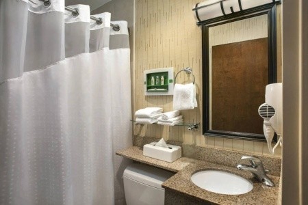 Holiday Inn Manhattan 6Th Ave - Chelsea - 14