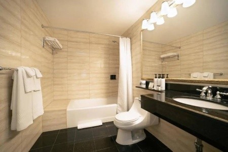 Stanford (New York City) - 16