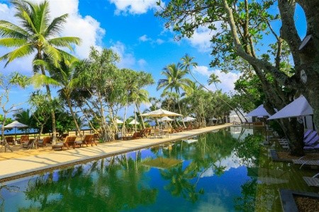 Pandanus Beach Resort & Spa - 4