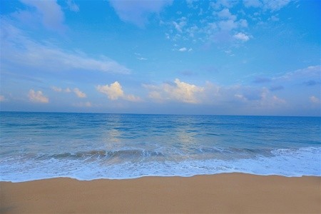 Pandanus Beach Resort & Spa - 5