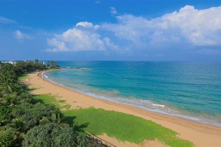 Pandanus Beach Resort & Spa - 6