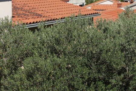 Apartmány 3298-1493 - 2