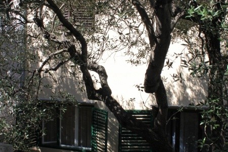 Apartmány 3298-1493 - 5