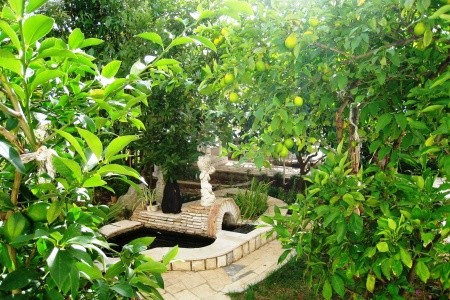 Apartmány 3298-1613 - 74