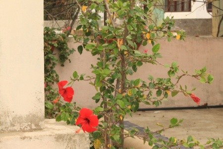 Apartmány 3298-1936 - 25