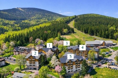 Forest Park Resort & Spa - 29