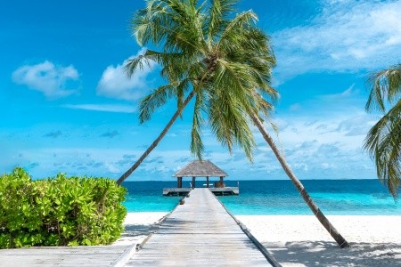 Kudafushi Resort & Spa - 11