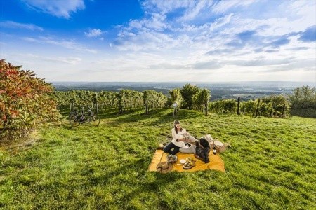Rakúsko Štajersko Vitalhotel Der Parktherme Bad Radkersburg 8 dňový pobyt Polpenzia Vlastná July 2026 (12/07/26-19/07/26)