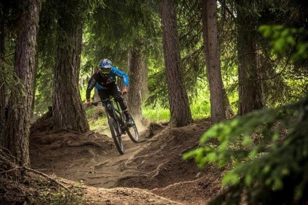 Rakúsko Schladming / Dachstein Jufa Schladming 5 dňový pobyt Polpenzia Vlastná July 2026 (19/07/26-23/07/26)