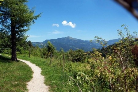 Optimamed Gesundheitsresort St. Josef (Bad Dürrnberg) - 11