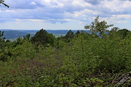 Robinzonáda 3298N-7700 - 6