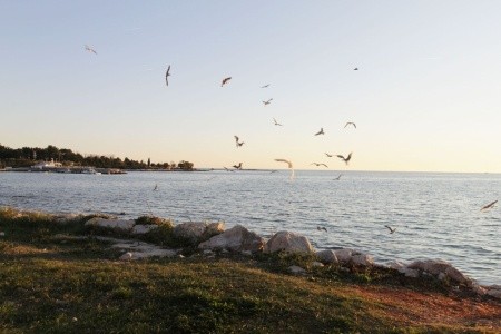 Apartmány 1355-7862 - 8