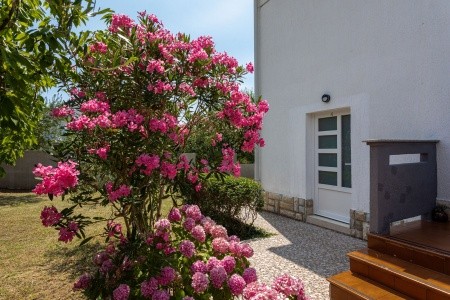 Apartmány 1355-7747 - 58