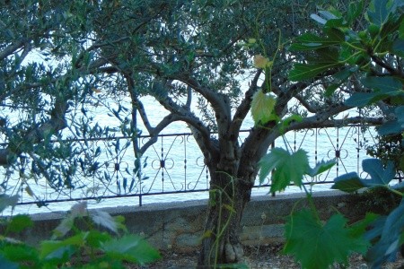 Apartmány 3298-3921 - 17