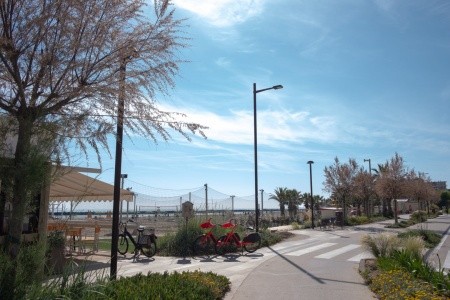 Leone (Ex. Brenta) - 2