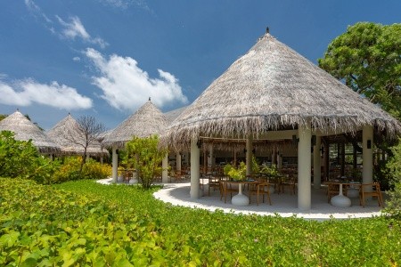 Maldivy Lhaviyani Atol Cocoon Maldives 9 dňový pobyt All Inclusive Letecky Letisko: Praha June 2026 (25/06/26- 3/07/26)