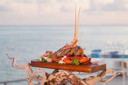 Maldivy Lhaviyani Atol Cocoon Maldives 9 dňový pobyt All Inclusive Letecky Letisko: Praha June 2026 (25/06/26- 3/07/26)