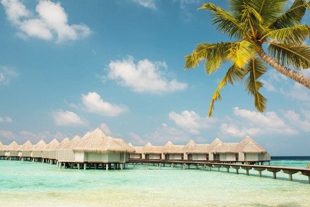 Maldivy  Drift Thelu Veliga Retreat (Theluveligaa) 14 dňový pobyt Plná penzia Letecky Letisko: Praha October 2026 ( 6/10/26-19/10/26)