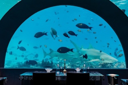 Maldivy  You & Me By Cocoon 8 dňový pobyt All Inclusive Letecky Letisko: Praha July 2026 (19/07/26-26/07/26)