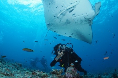 Maldivy  You & Me By Cocoon 8 dňový pobyt All Inclusive Letecky Letisko: Praha July 2026 (19/07/26-26/07/26)