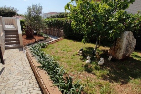 Apartmány 3298-7256 - 5