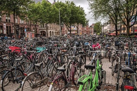 Zájazd do Holandska s návštevou korza Bloemen Corso - 5