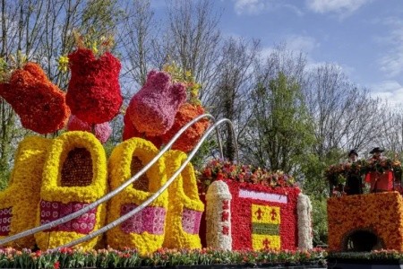 Zájazd do Holandska s návštevou korza Bloemen Corso - 8