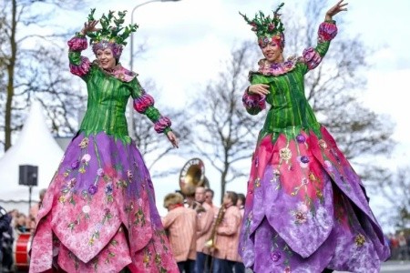 Zájazd do Holandska s návštevou korza Bloemen Corso - 11