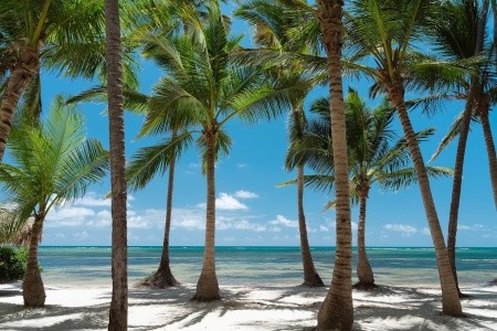 Catalonia Royal Bavaro - 92