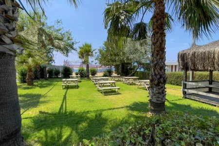 Solivia (Ex. Titan Select) - 15