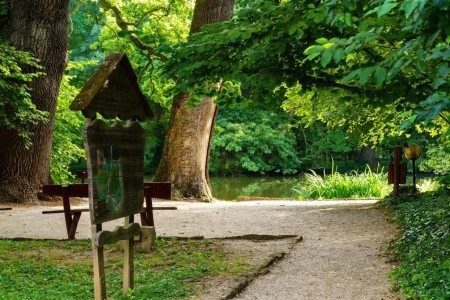 Ensana Thermal Sarvar Health (Ex. Danubius Health Spa Resort Sarvar) - 25