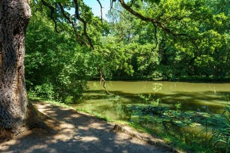 Ensana Thermal Sarvar Health (Ex. Danubius Health Spa Resort Sarvar) - 26