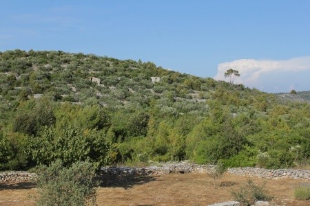 Robinzonáda 3298-1819 - 20