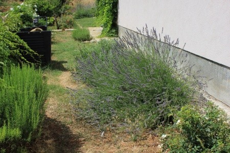 Apartmány 3298-1845 - 8